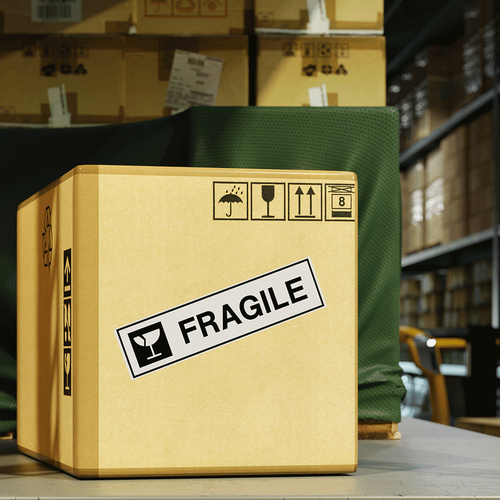 BROTHER Rollo de Papel Continuo Blanco de 50mm x 30,48m