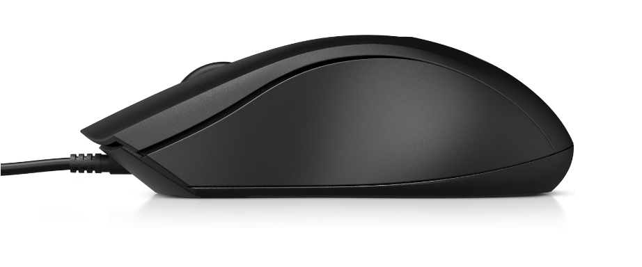 HP Raton 100