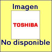 TOSHIBA Modulo Wireless LAN (IEEE 802.11ac/a/b/g/n)