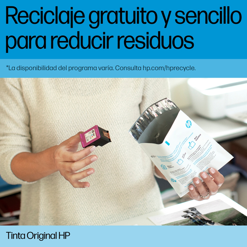 HP CARTUCHO INYECCION TINTA NEGRO/COLOR nº300 PACK-2
