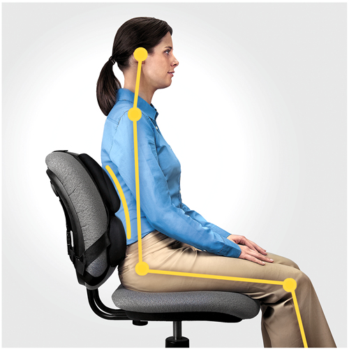 FELLOWES Cojin lumbar ergonomico Professional Series